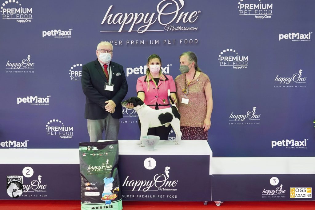 32ª Exposição Aveiro - Melhor Veterano da Exposição