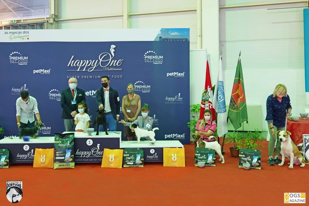 32ª Exposição Aveiro - Melhor Cachorro da Exposição