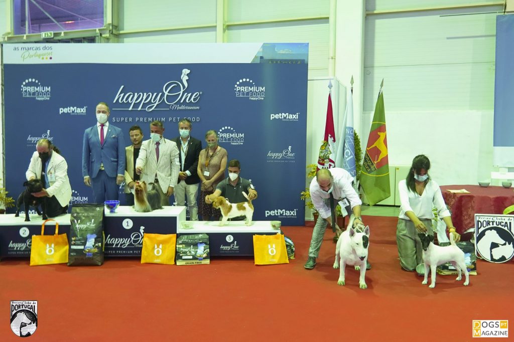 32ª Exposição Aveiro - BIS