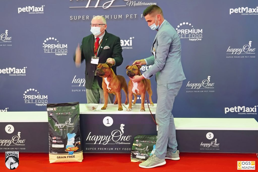 Exposição Aveiro 2021 - Melhor Par