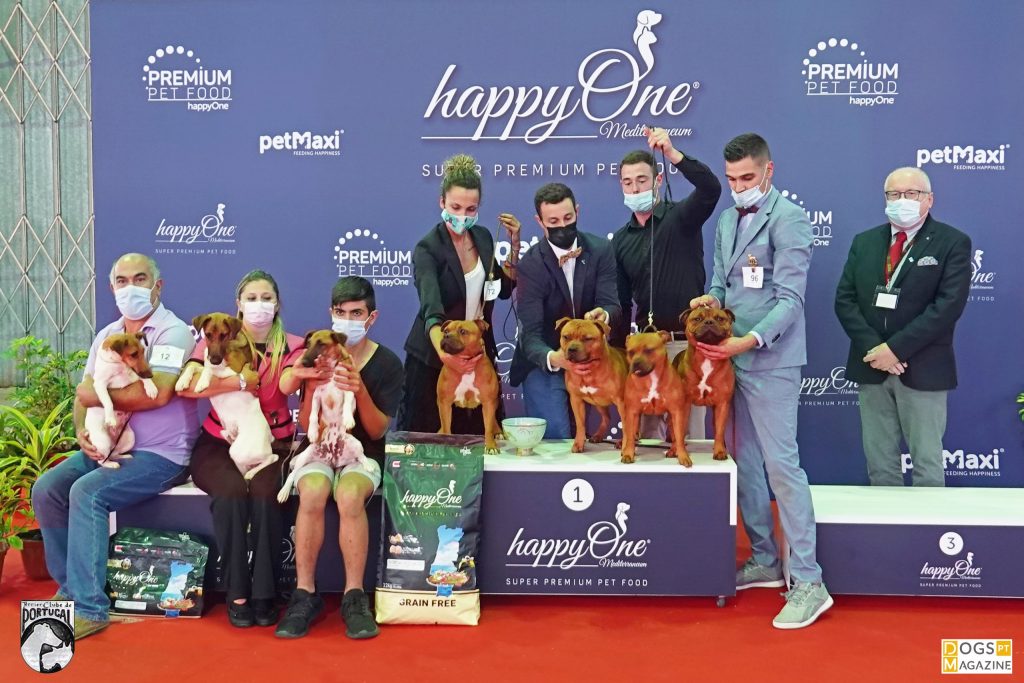 Exposição Aveiro - Melhor Criador