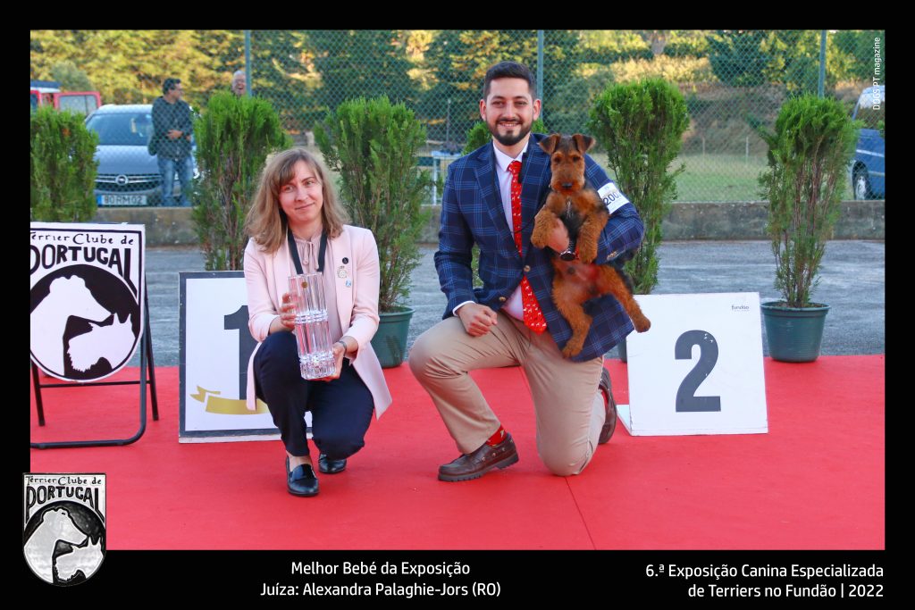 01_Melhor_Bebé_Exposicao_Fundao_terriers