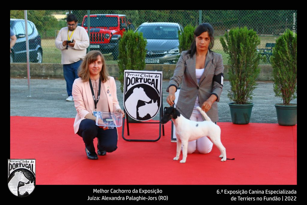 02_Melhor_Cachorro_exposicao_Fundao2022_1