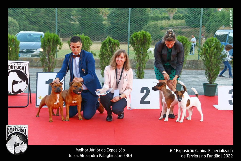 05_Melhor_Par_Exposicao_Terrier_Fundao