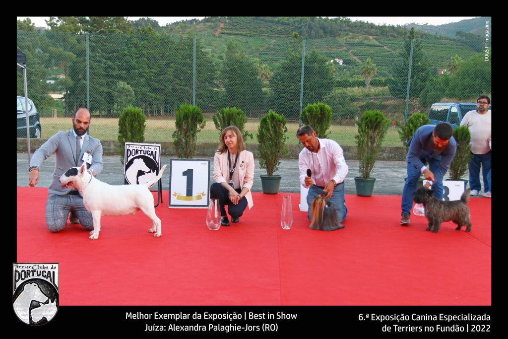 08_BIS_exposicao_fundao2022