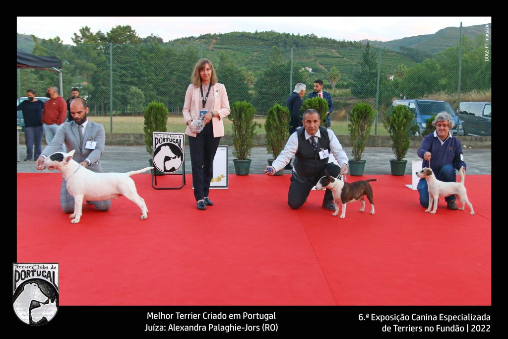 09_CriadorPT_exposicao_fundao2022