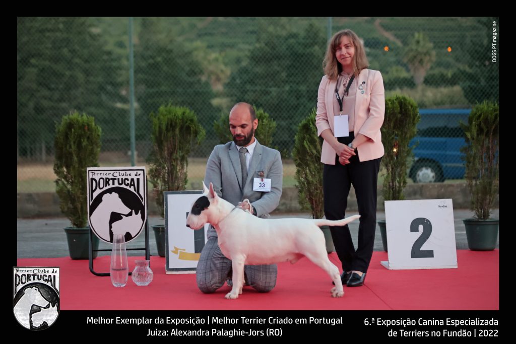 Melhor exemplar da exposição