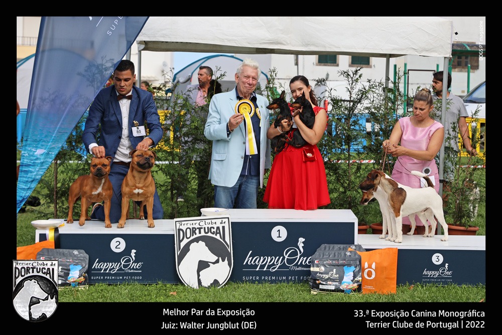 33exposicao_terrier_sintra_melhor_par