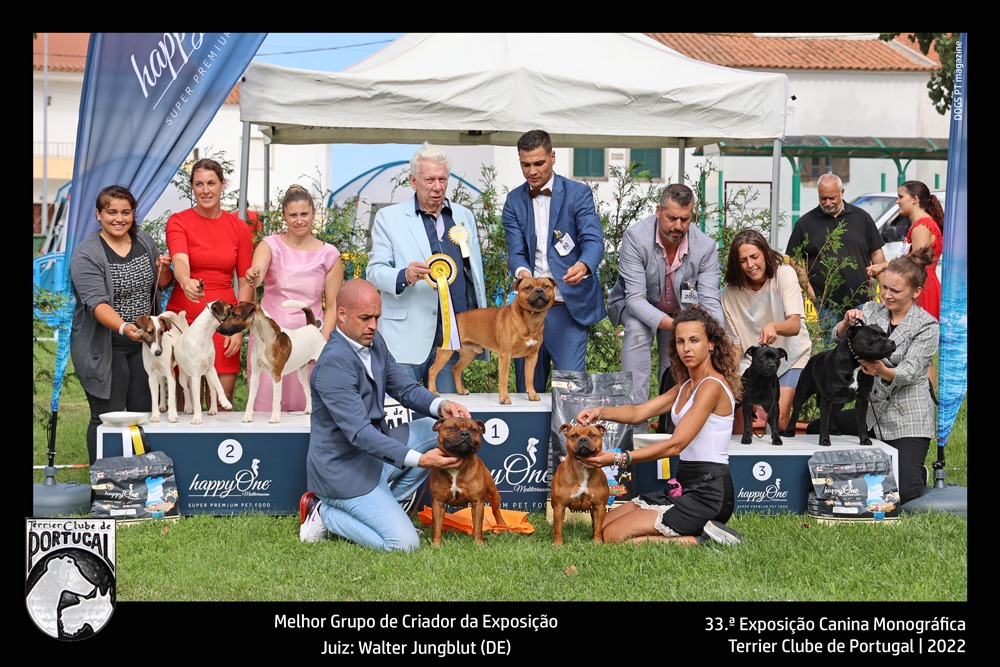 33exposicao_terrier_sintra_melhor_criador