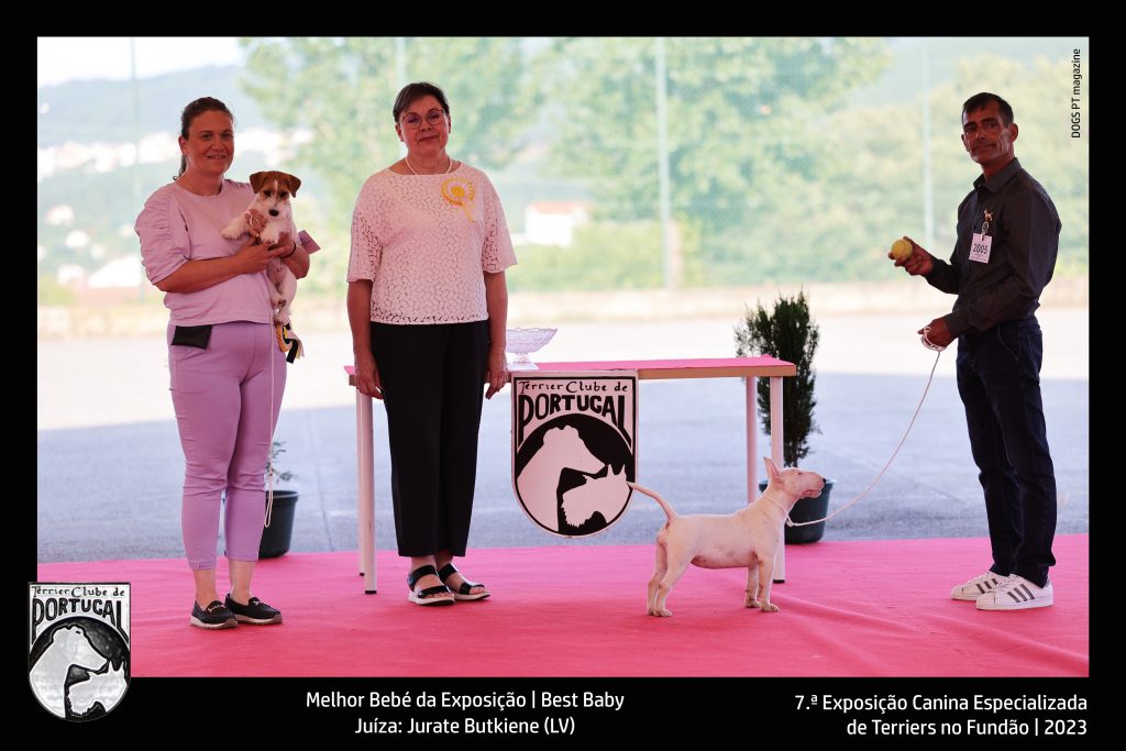 Melhor Bebé da Exposição | Best BabyJuíza: Jurate Butkiene (LV)