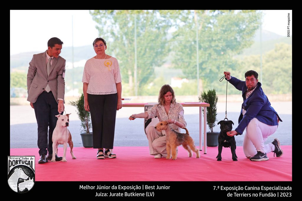 Melhor Júnior da Exposição | Best JuniorJuíza: Jurate Butkiene (LV)