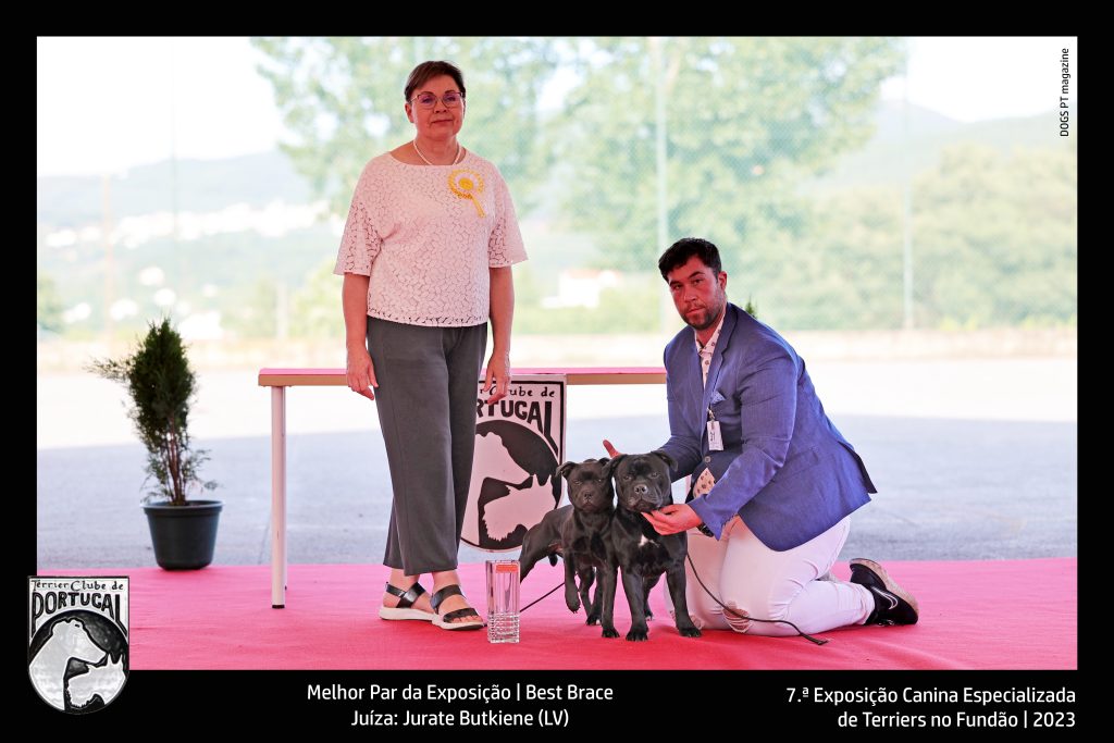 Melhor Par da Exposição | Best BraceJuíza: Jurate Butkiene (LV)