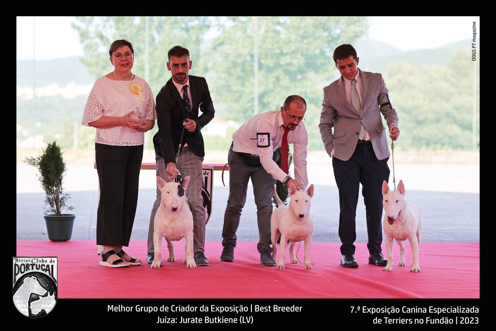 Melhor Grupo de Criador da Exposição | Best BreederJuíza: Jurate Butkiene (LV)