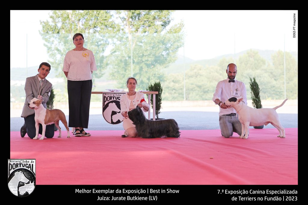 Melhor Exemplar da Exposição | Best in ShowJuíza: Jurate Butkiene (LV)