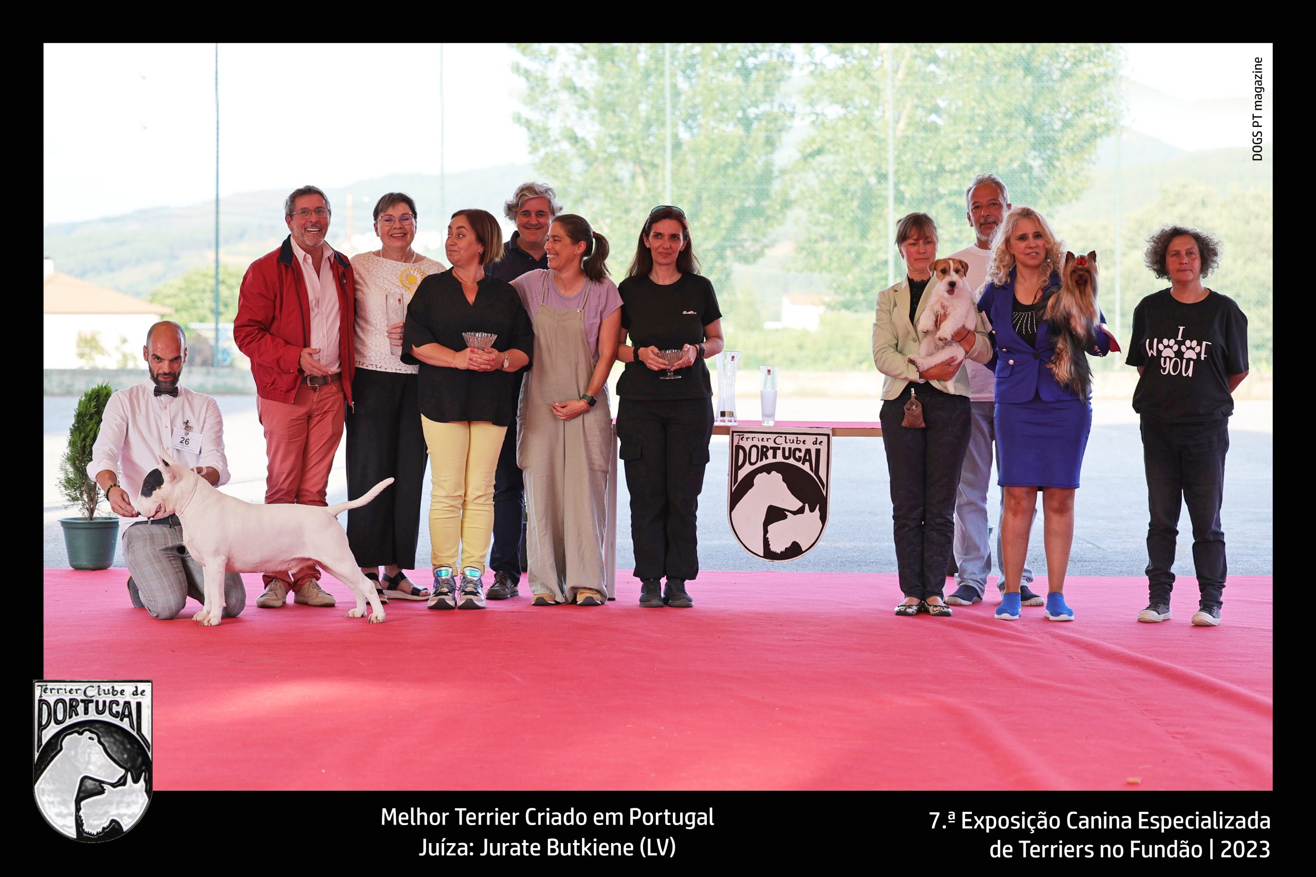 Melhor Terrier Criado em Portugal Juíza: Jurate Butkiene (LV)