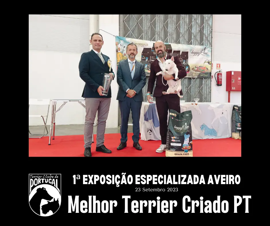 1a_Especializada_Aveiro23-Melhor Terrier Criado PT_COM