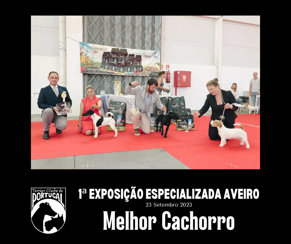 1a_Especializada_Aveiro23-MelhorCachorroCOM