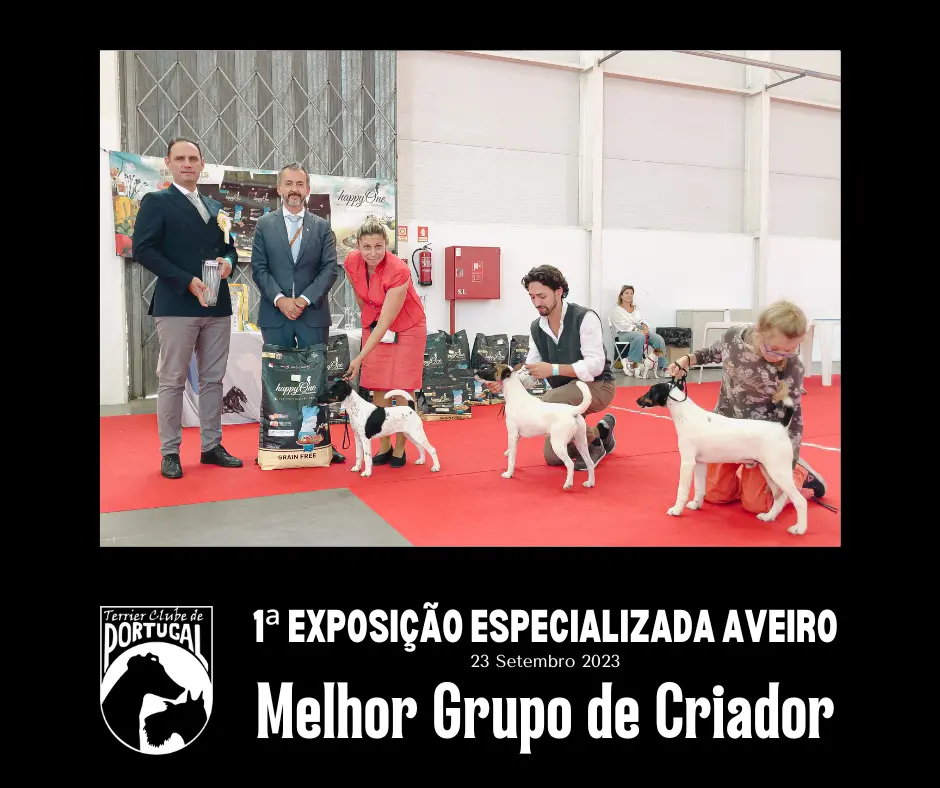1a_Especializada_Aveiro23-MelhorCriadorCOM