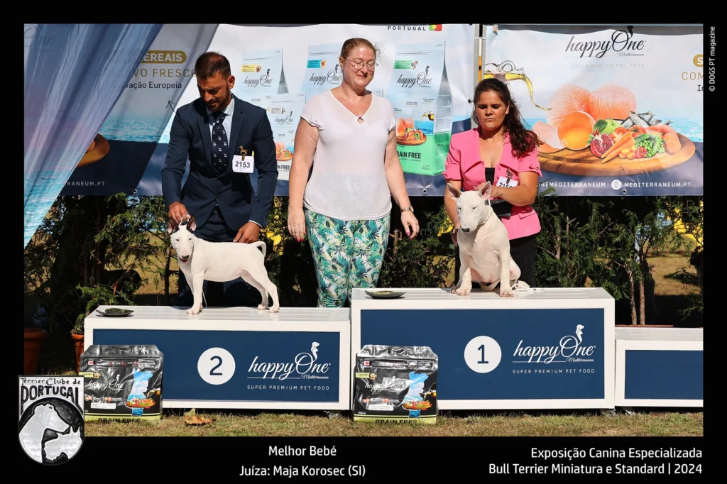 35ª Exposição Canina Monográfica de Terriers e Expecializada de Bull Terriers