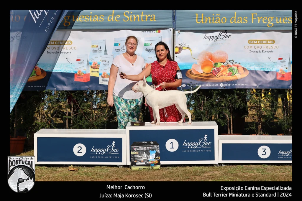 35ª Exposição Canina Monográfica de Terriers e Expecializada de Bull Terriers