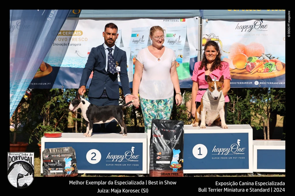 35ª Exposição Canina Monográfica de Terriers e Expecializada de Bull Terriers