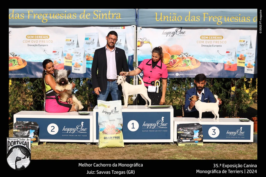 35ª Exposição Canina Monográfica de Terriers e Expecializada de Bull Terriers