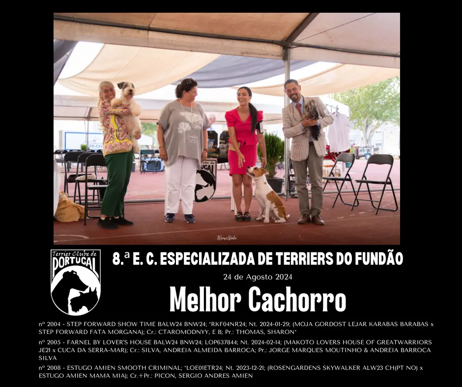 fundao24_MelhorCachorro