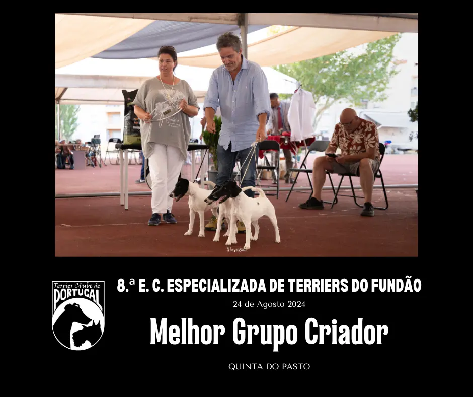 fundao24_MelhorGrupoCriador