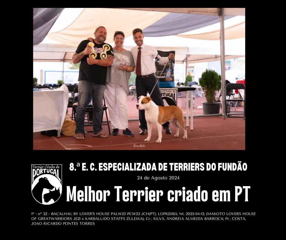 fundao24_MelhorTerrierCriadoPT