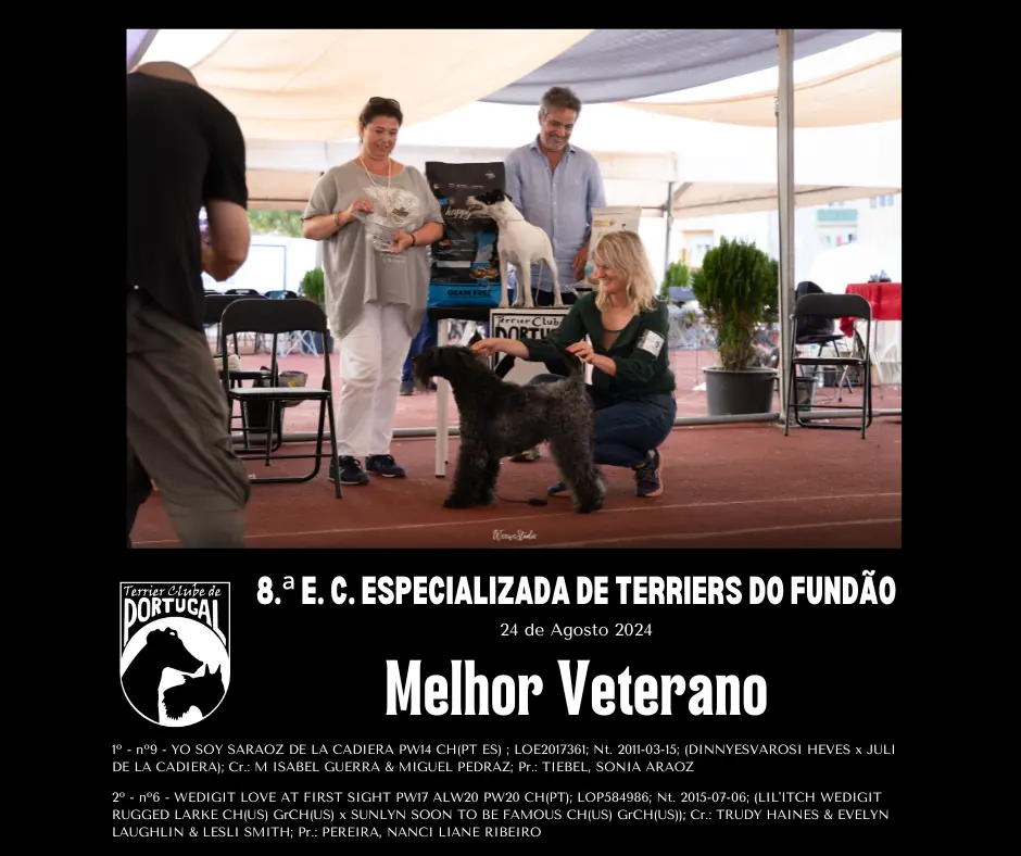 fundao24_Melhorveterano
