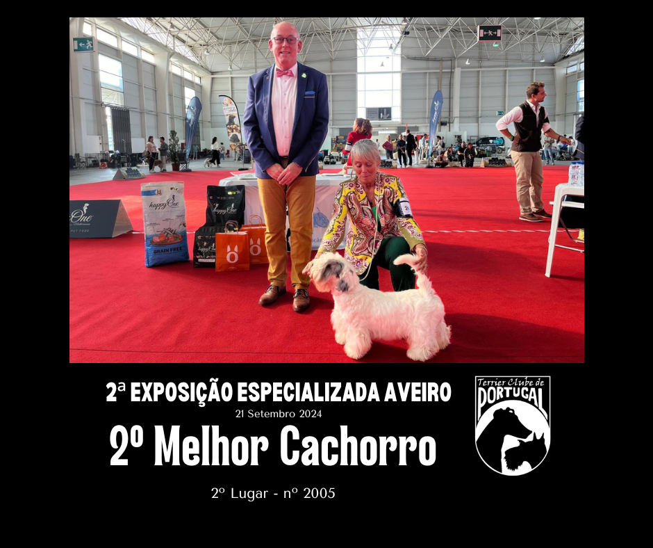 2º melhor cachorro