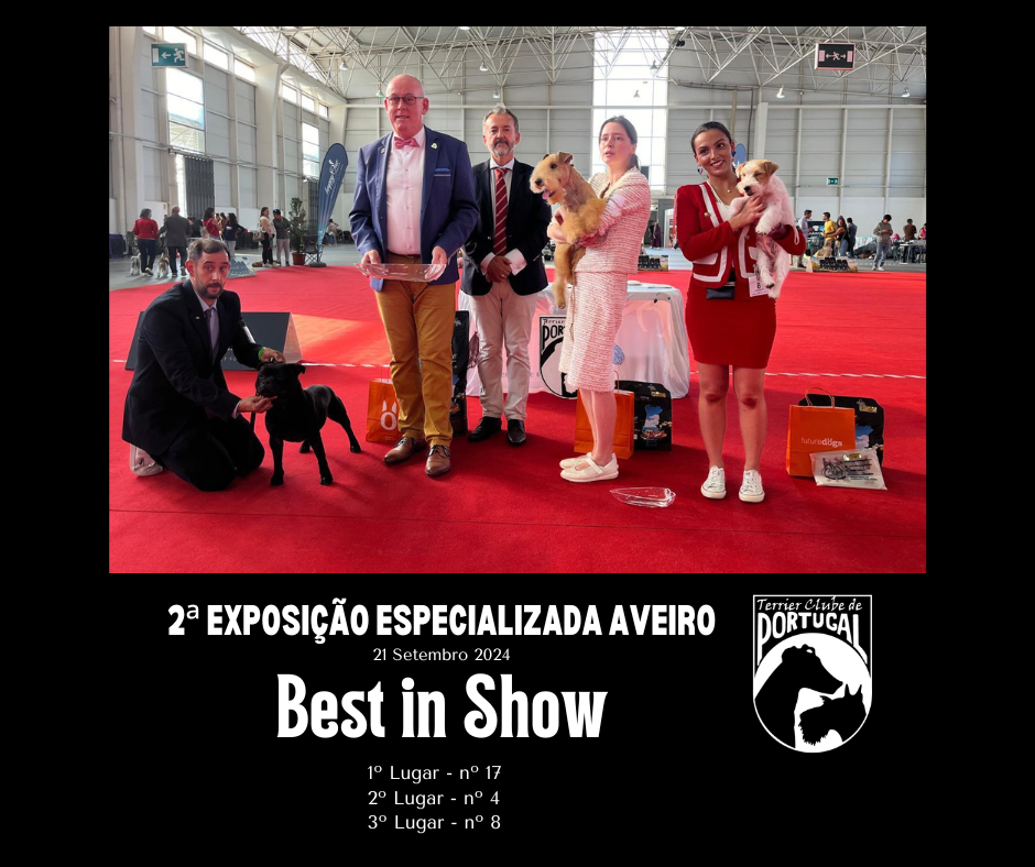 Best in SHow
