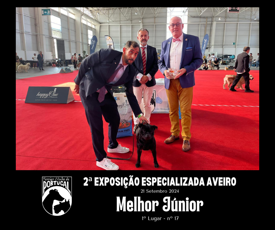 melhor junior