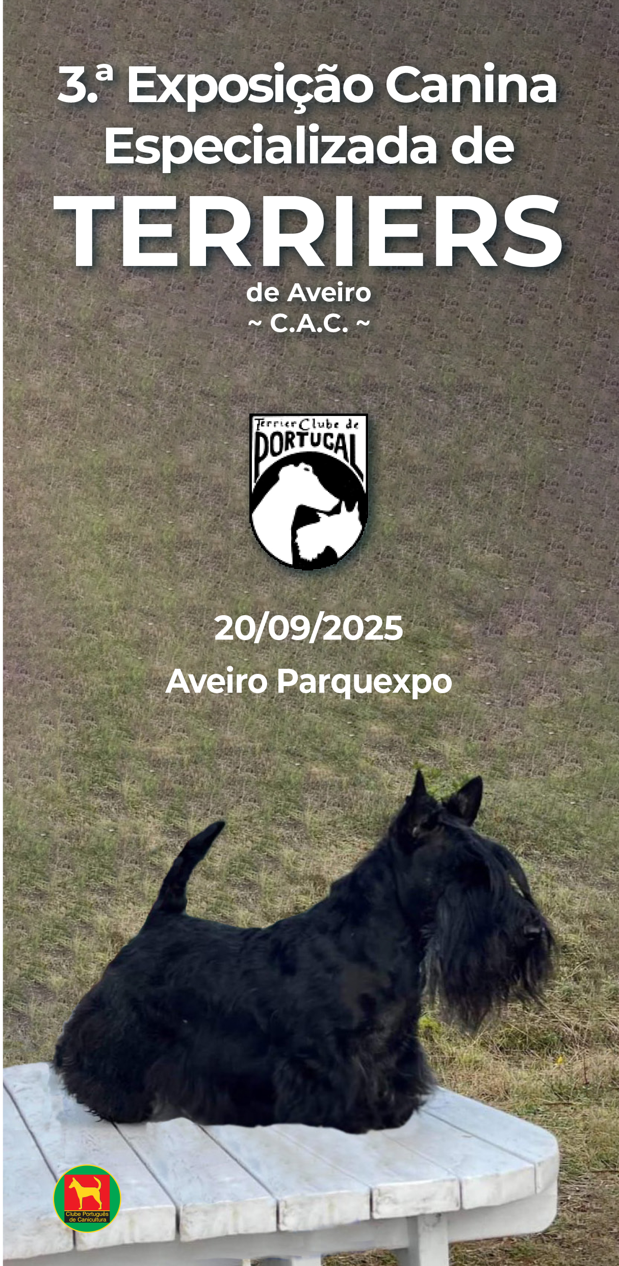 3ª expo Aveiro - Terriers