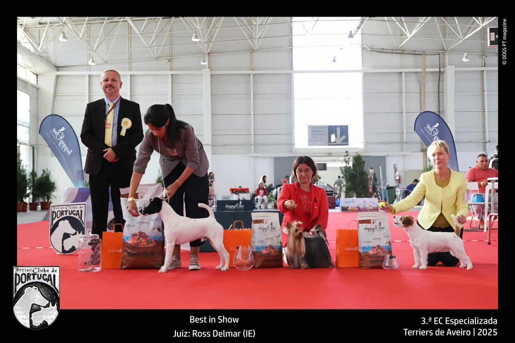 TCP - 3ª Exposição Aveiro - BIS