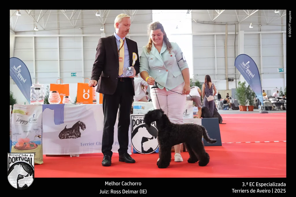 TCP - 3ª Exposição Aveiro - Melhor Cachorro