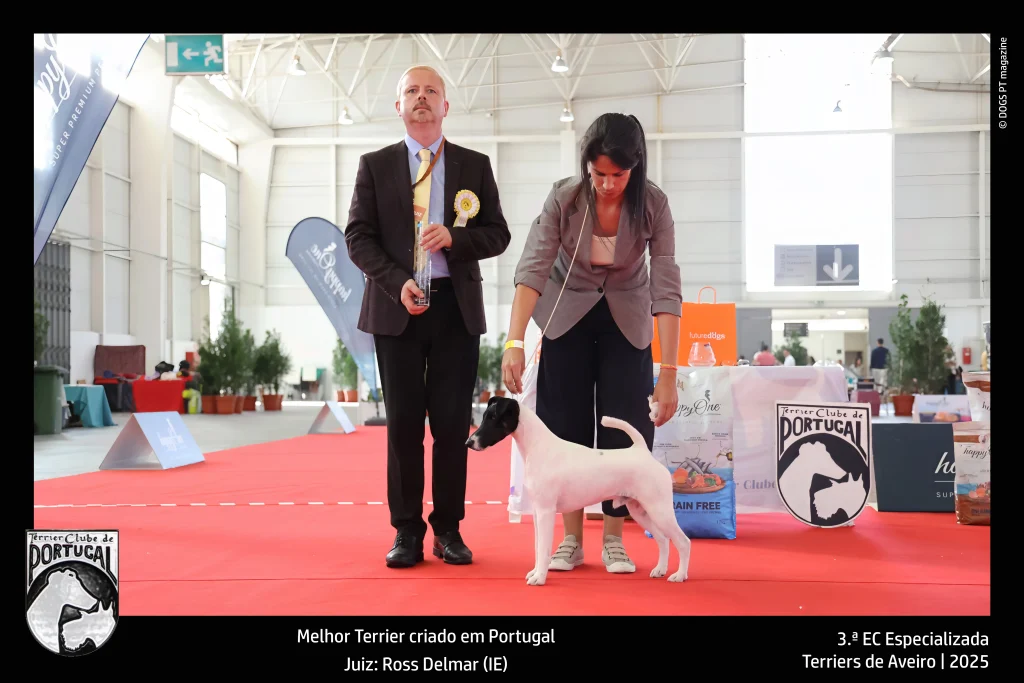 TCP - 3ª Exposição Aveiro - Criado em PT