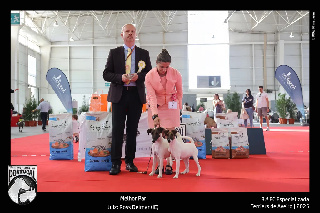 TCP - 3ª Exposição Aveiro - Melhor Par