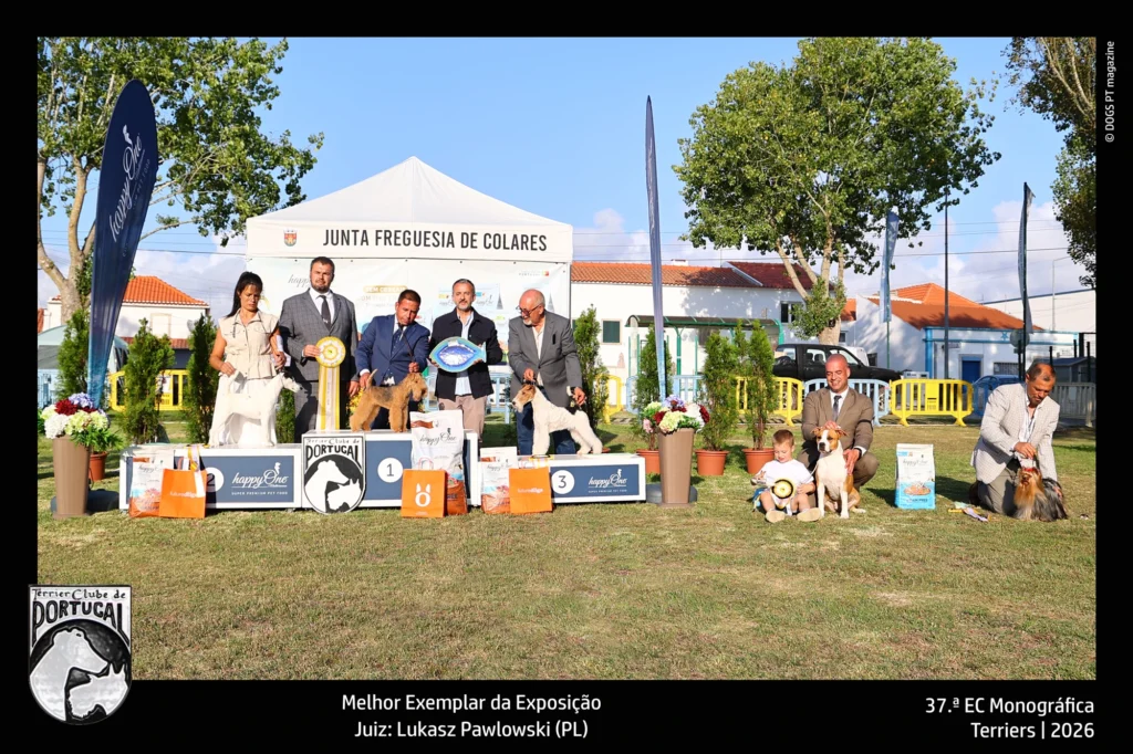 best in show 1